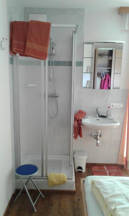 Appartment Steger Klara มิทเทอร์ซิลล์ ภายนอก รูปภาพ